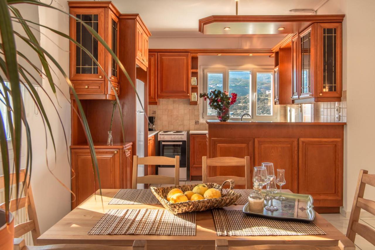 ÁndrosEleni'S Seaview Houseアパートメント エクステリア 写真